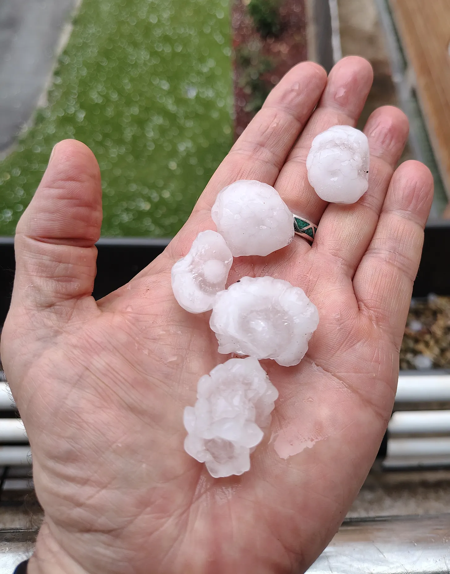 Large hailstones after a brief intense hailstorm in Central Spain